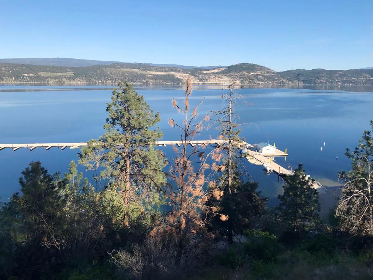 Cozystay Signature Lake Okanagan Resort Келоуна Екстериор снимка
